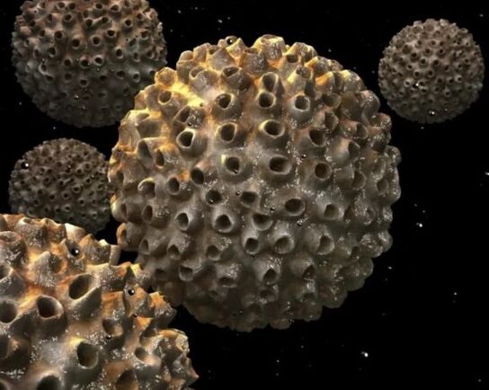 Virus do papiloma